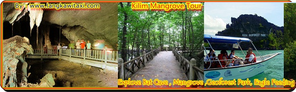 langkawi kilim mangrove